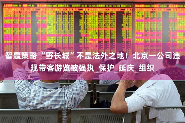 智赢策略 “野长城”不是法外之地！北京一公司违规带客游览被强执_保护_延庆_组织